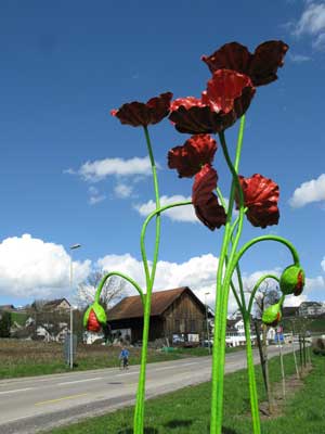 FlowersToyesa_130413.jpg