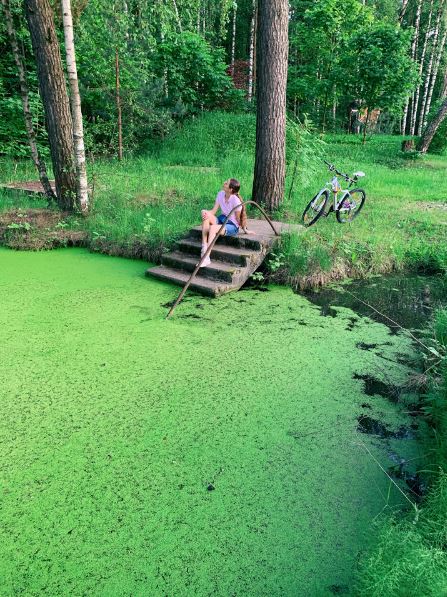 Guzel_forestLake_w1.JPG