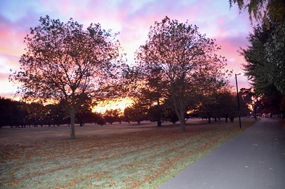18th Sri Chinmoy Self-Transcendence 100 km, 50 km & 100 km Teams Races: 02 Nov 2025